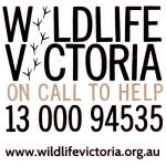 Wildlife Victoria