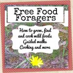 Free Food Foragers